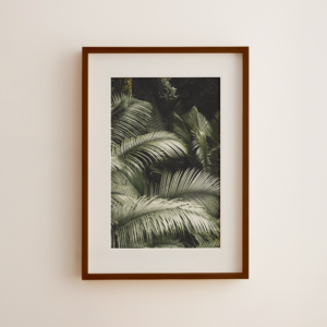 Papéis Fineart & Fotograficos